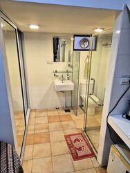Emerald Hill Conservation Area (D9), Apartment #549739321